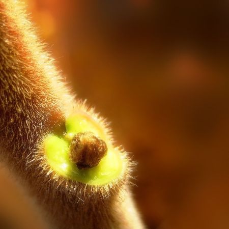 Čudna slikca s še bolj čudnim opisom.