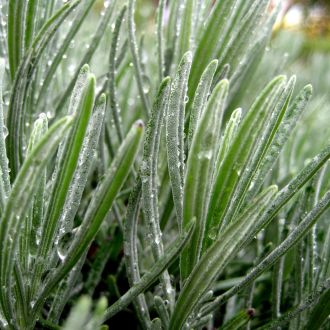 dfgdgfdg dgdfgdf gfd fdgdfgfdgfd